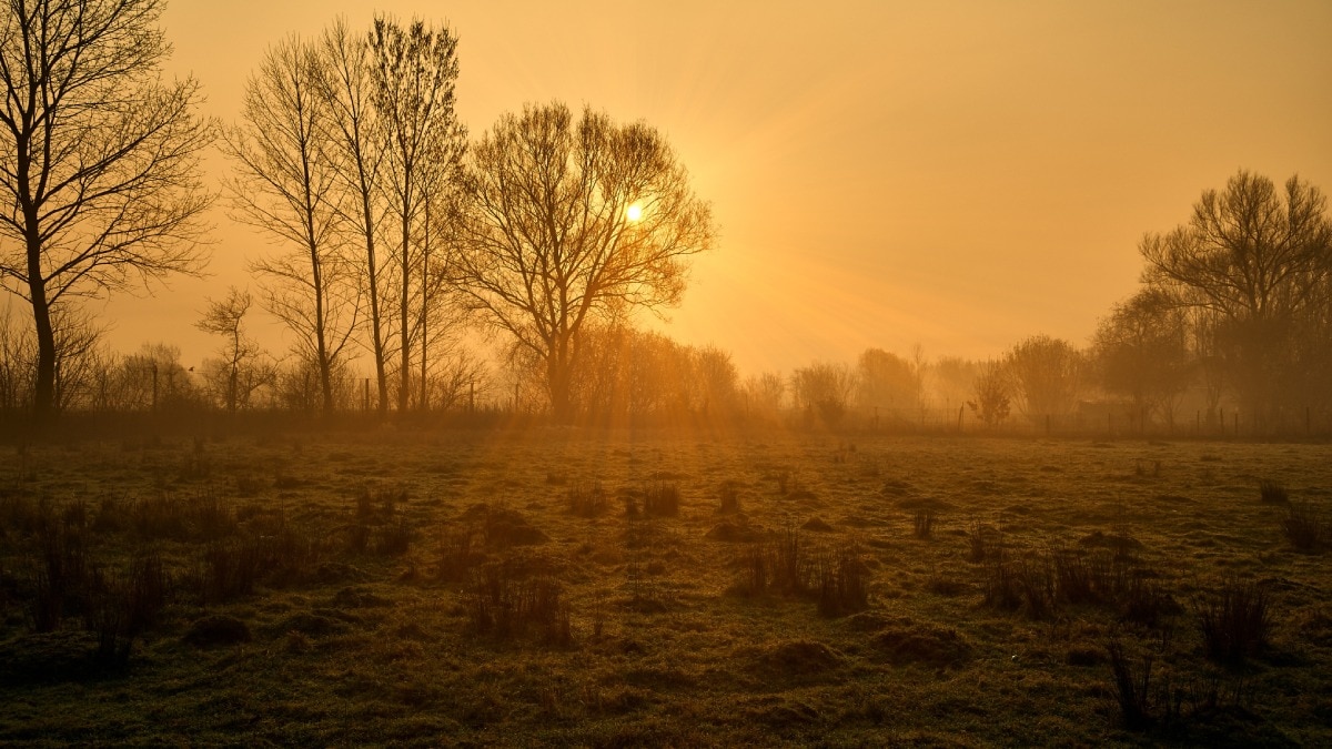 winter crop care tips