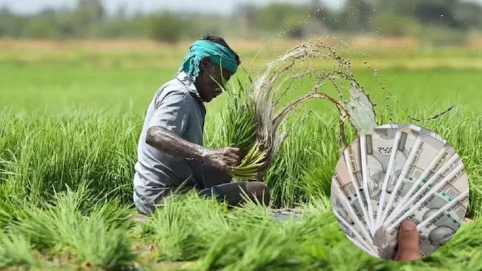 किसानों को मिलेगा फसलों का मुआवजा