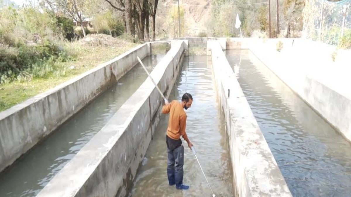 कश्मीर के किसान की क्रांति