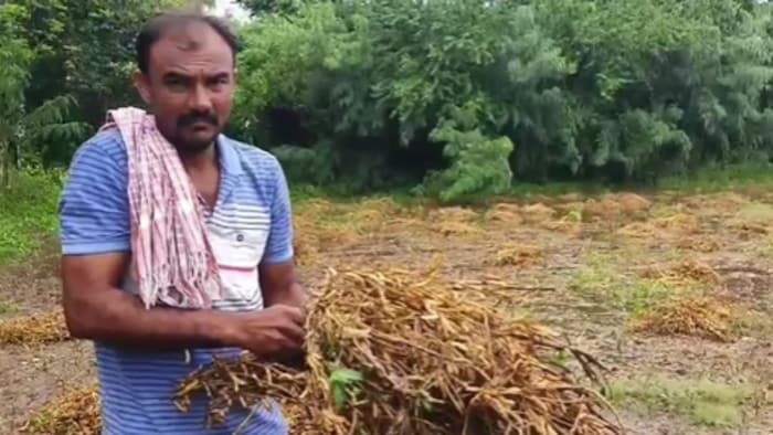 नाराज गुजरात के किसान