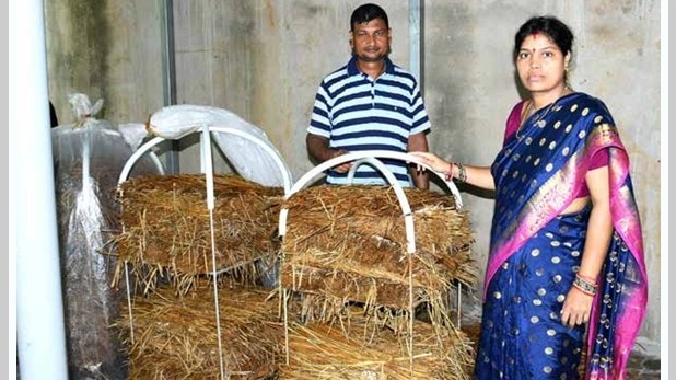 न जलेगी पराली, न जगह की टेंशन, किसान के 'जादुई रैक' से घर-घर होगी मशरूम की खेती