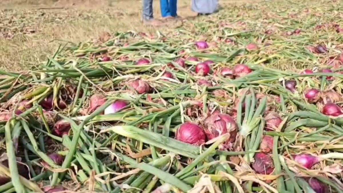 Onion Price: प्याज के दाम ने किसानों को रुलाया, इन मंडियों में कीमत जानकर होंगे हैरान