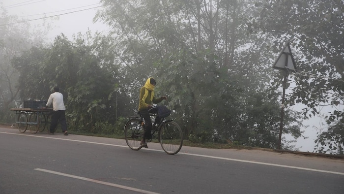 यूपी में आने वाले दिनों में ठंडक बढ़ने की संभावना जताई गई है (Image-Social media)