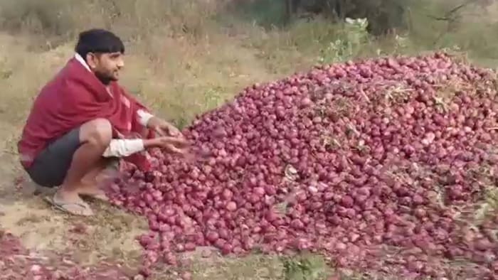 Farmer Thows Onion in River