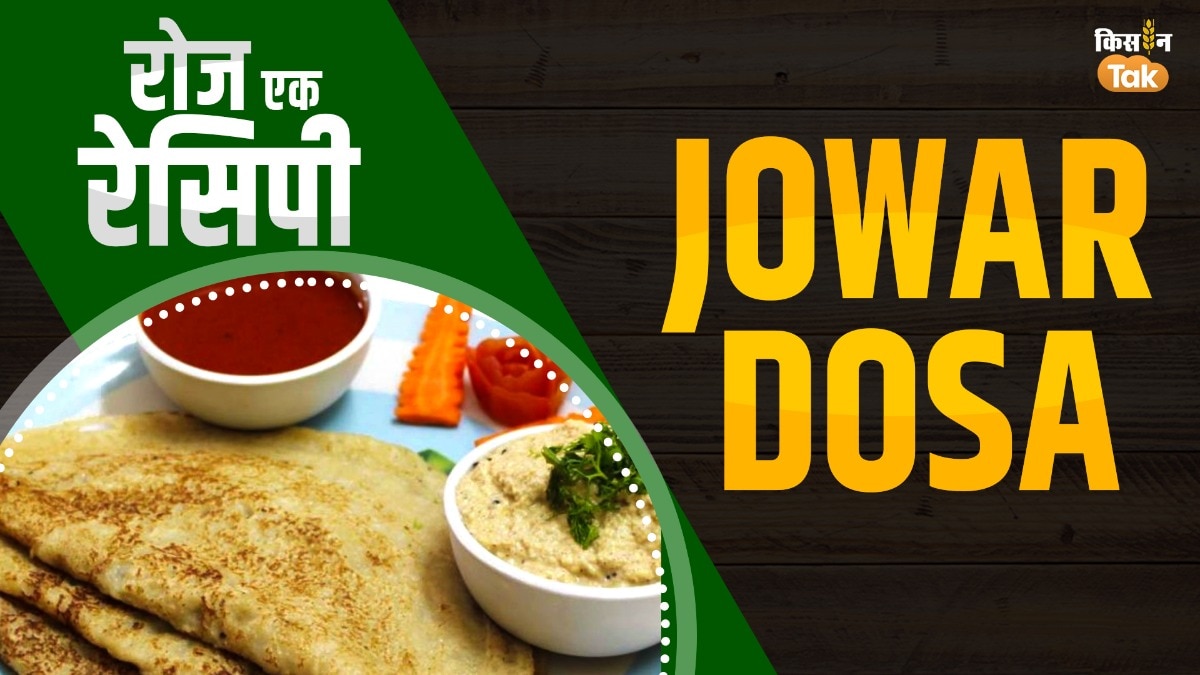 Roj Ek Recipe: अब चावल के डोसे को कहें Bye-Bye, इस हेल्दी डोसे से बनाएं सेहत-बढ़ाएं स्वाद