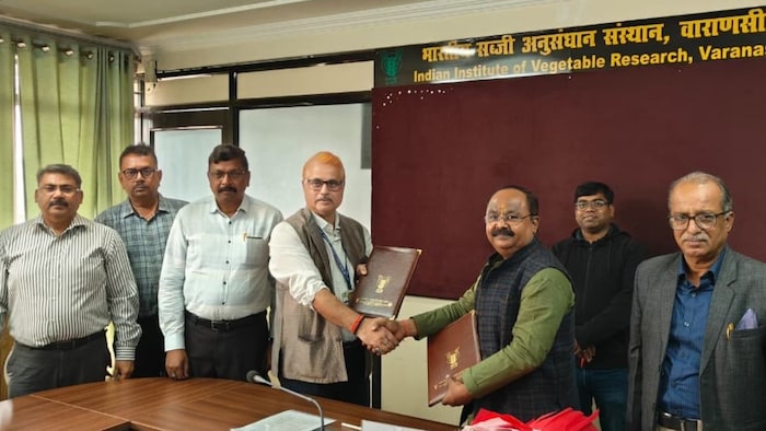 IIVR MoU Chaulai Kism