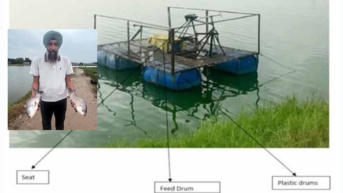 fish farming desi Jugad