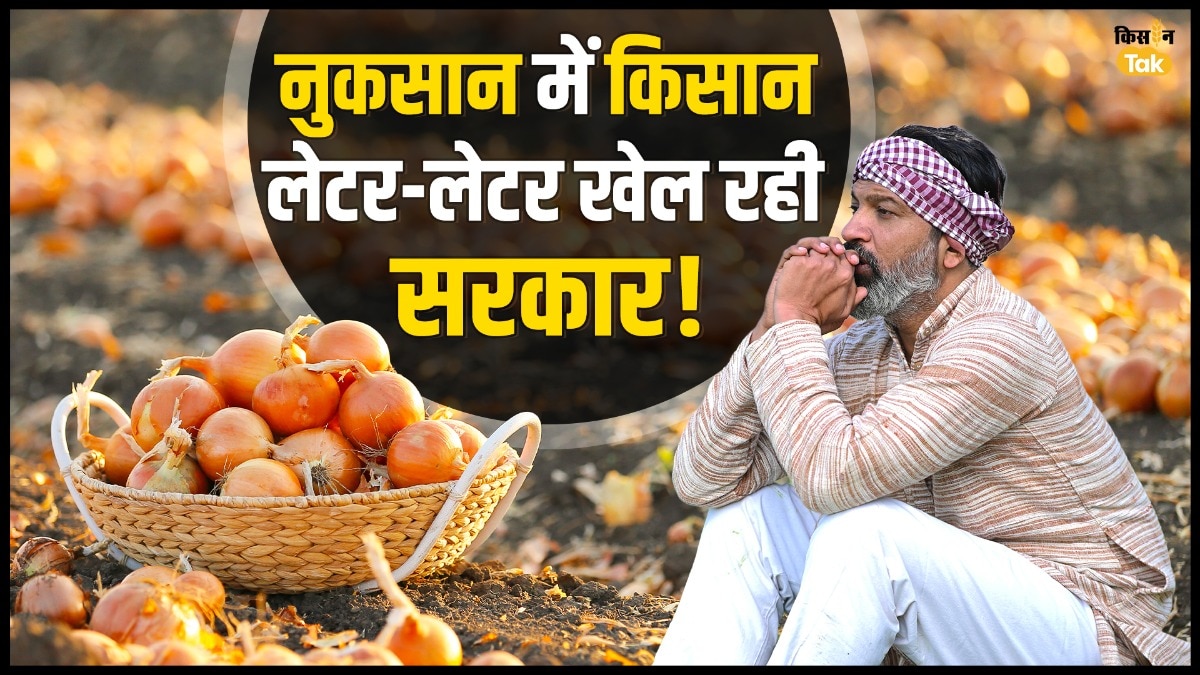 Onion Price: प्याज के मुद्दे पर सांसद ने जुलाई में लगाई थी गुहार, किसानों का हो गया नुकसान तब खुली सरकार की नींद