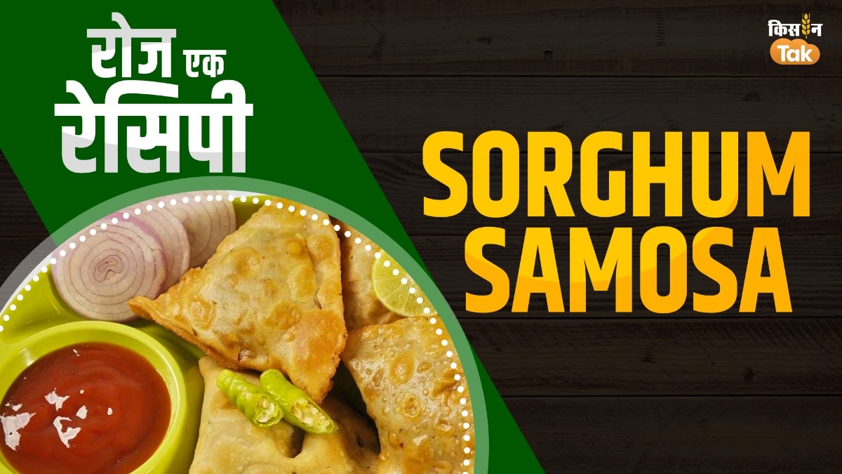 सोरघम समोसा