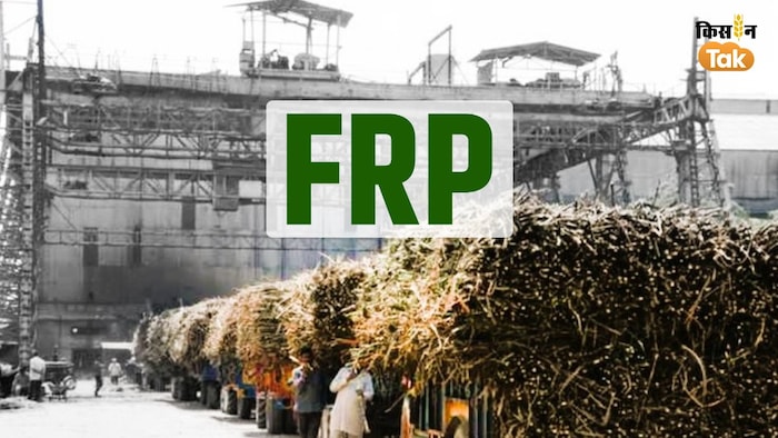 sugarcane FRP