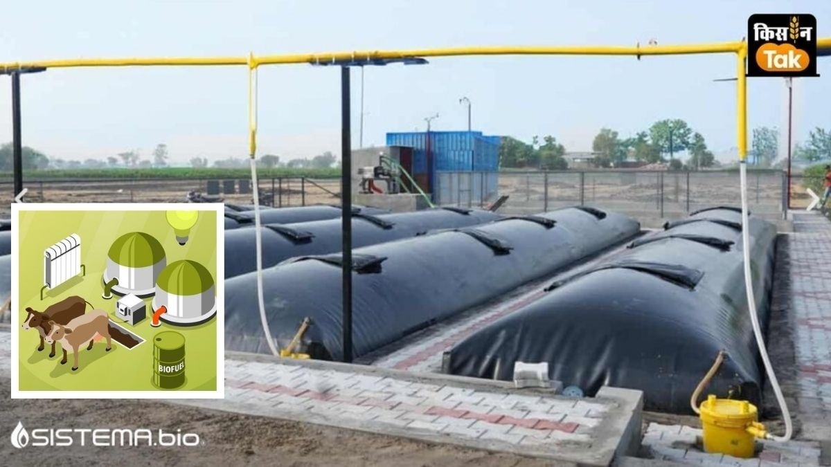 Biogas Plant : पशुपालन और डेयरी से 16 करोड़ टन गोबर खरीदने की इसलिए हो रही चर्चा 