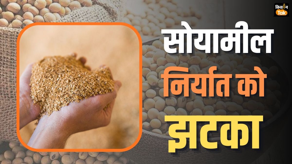 India Soymeal Export