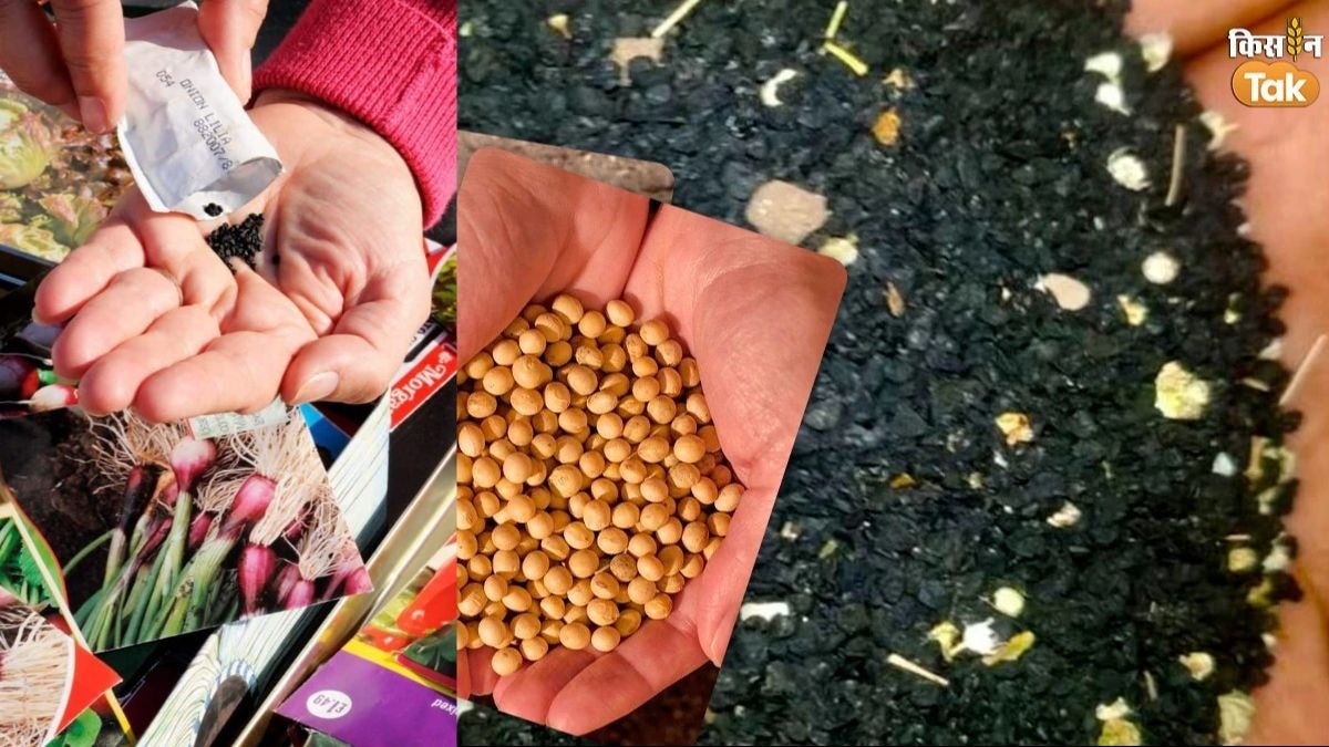 बीज खरीदने की टिप्स