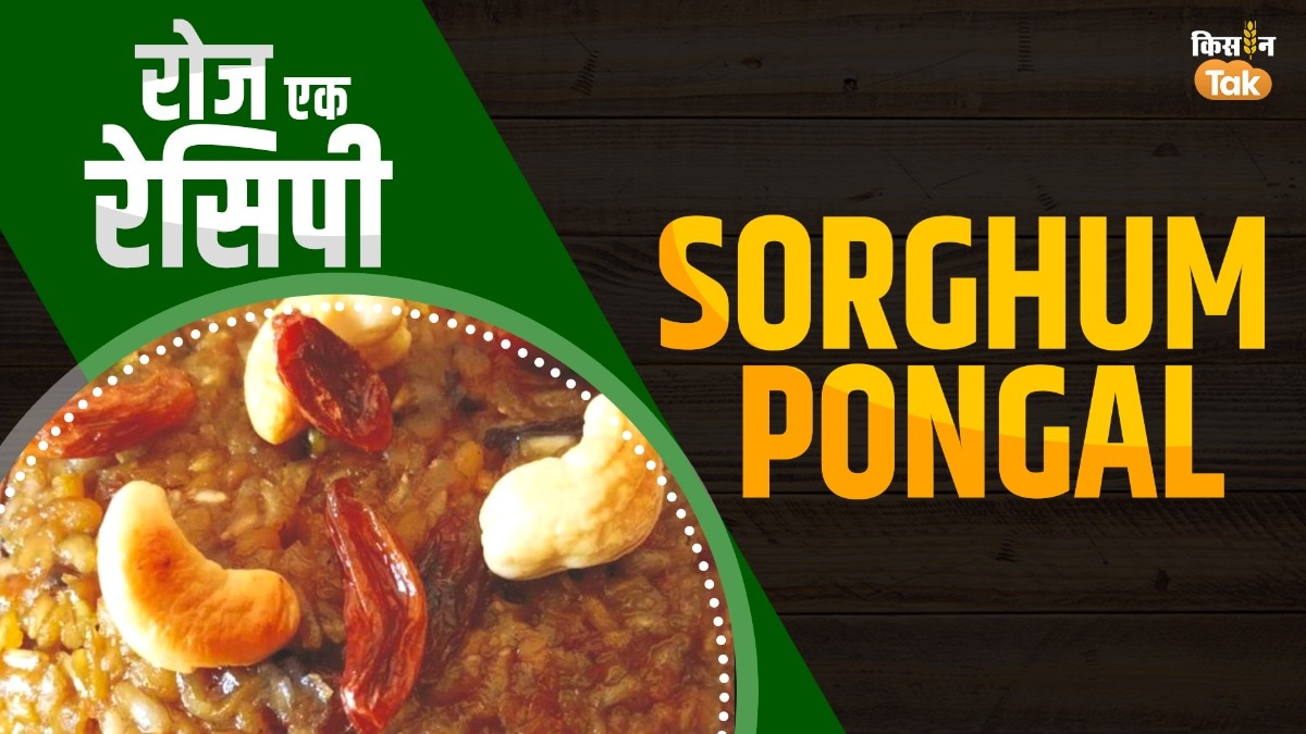 घर पर बनाएं सोरघम पोंगल