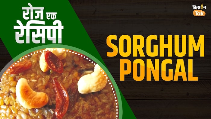 घर पर बनाएं सोरघम पोंगल