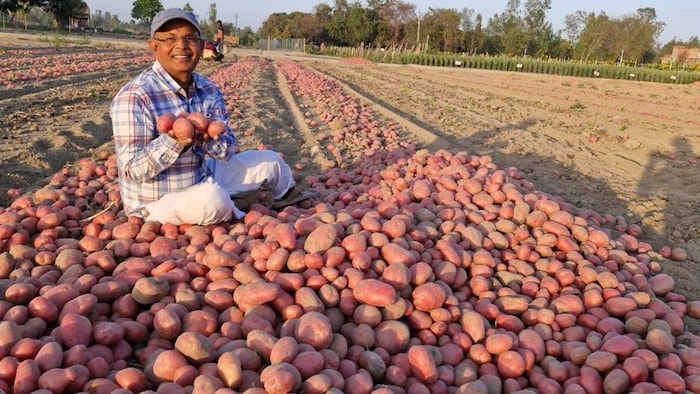 बाराबंकी के दौलतपुर गांव निवासी किसान पद्मश्री रामसरन वर्मा (Image-Social media)