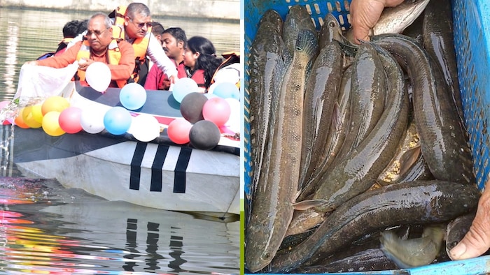 लखनऊ की गोमती नदी में मंत्री संजय निषाद ने छोड़ी 2 लाख मछलियां