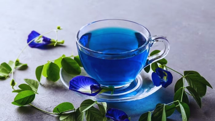 क्या हैं ब्लू टी के फायदे?