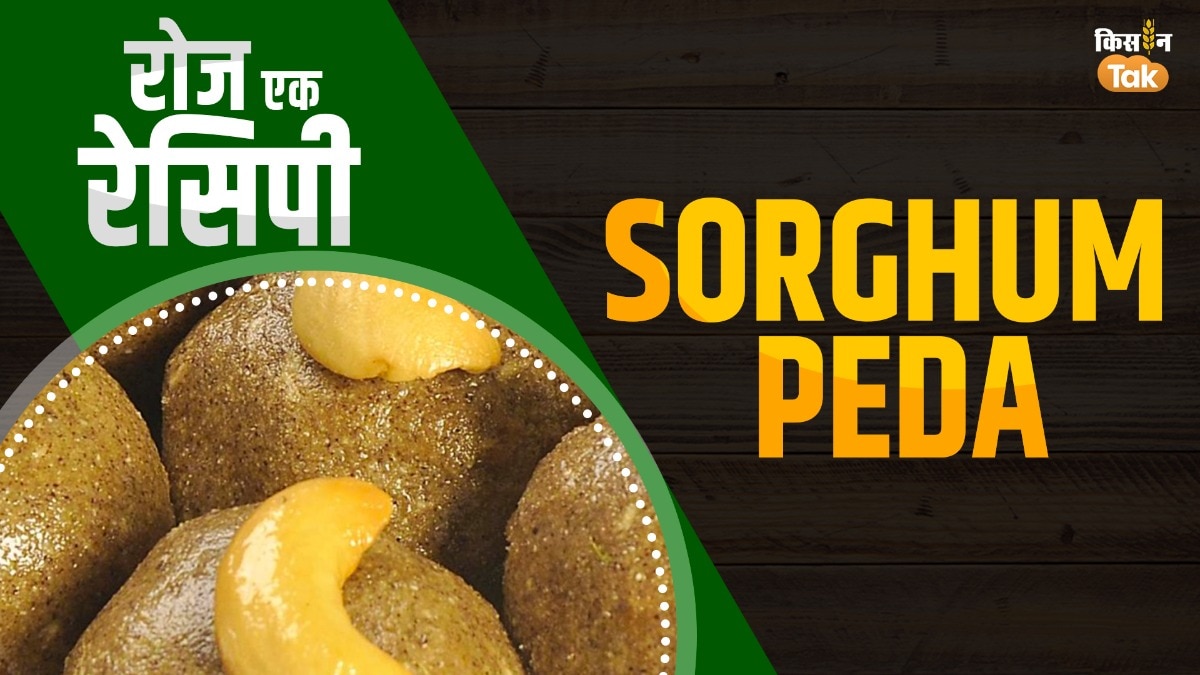 हेल्दी ट्विस्ट के साथ तैयार करें सोरघम पेड़ा