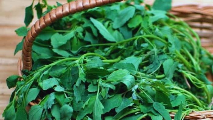 फायदेमंद है ये साग
