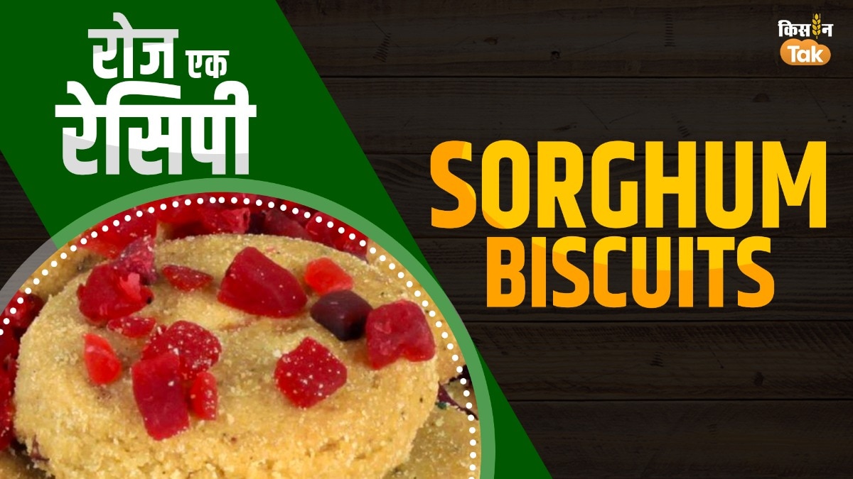 सोरघम स्वीट बिस्किट