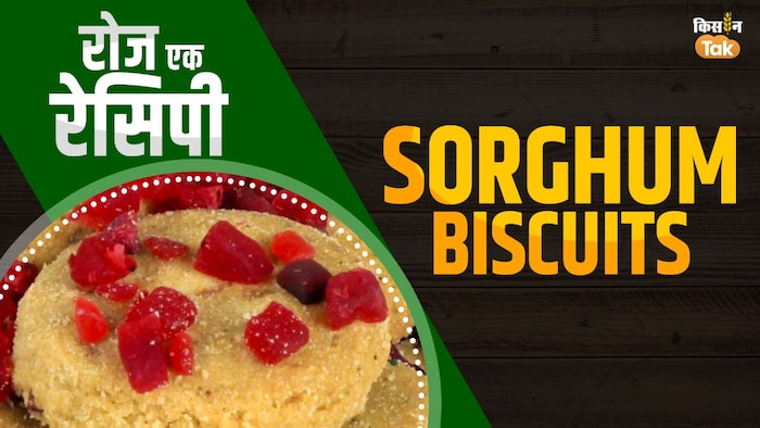 सोरघम स्वीट बिस्किट