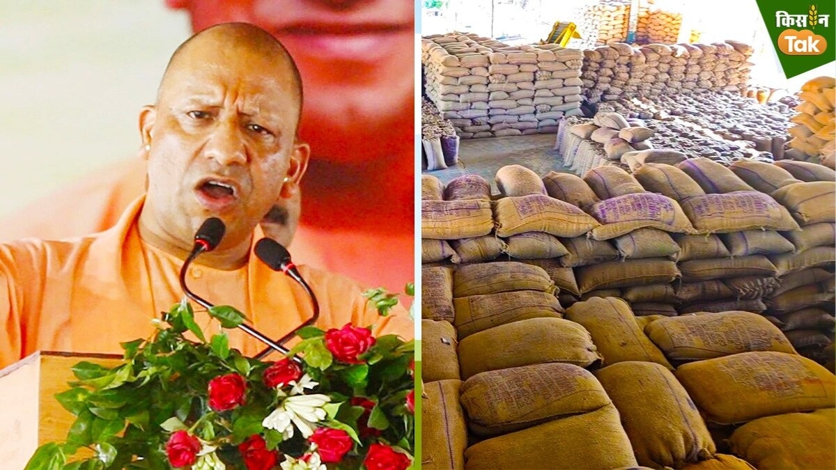 paddy procurement Uttar Pradesh