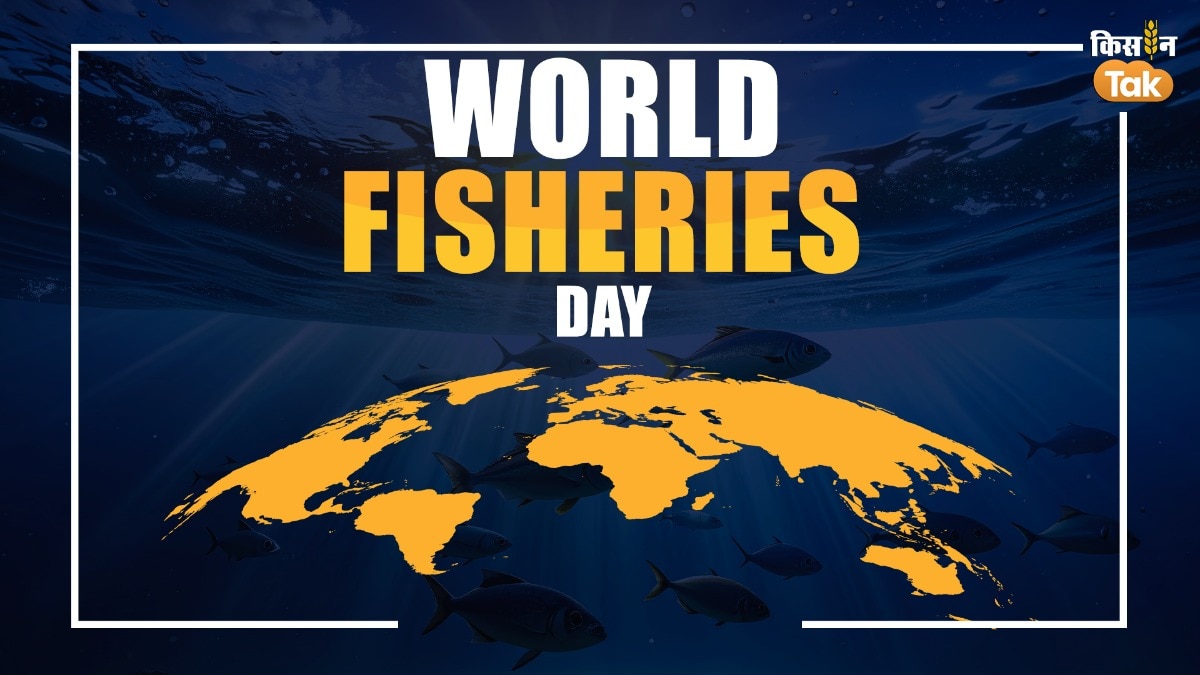 World Fisheries Day