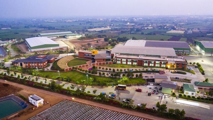 सब्सिडी नहीं, व्यवसाय से बढ़ रही किसानों की कमाई