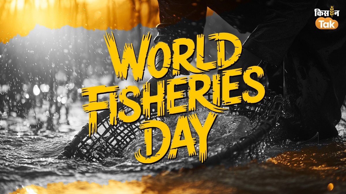 World Fisheries Day