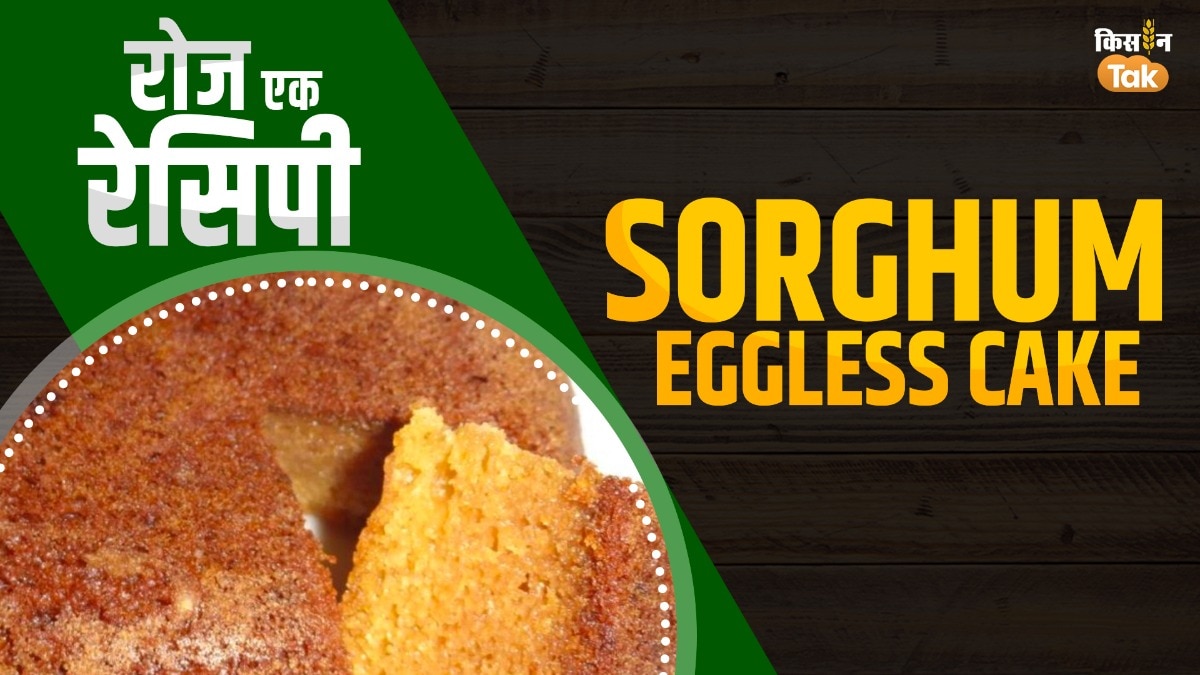 Sorghum Eggless Cake