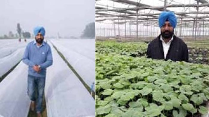 successful farmer Harbeer Singh