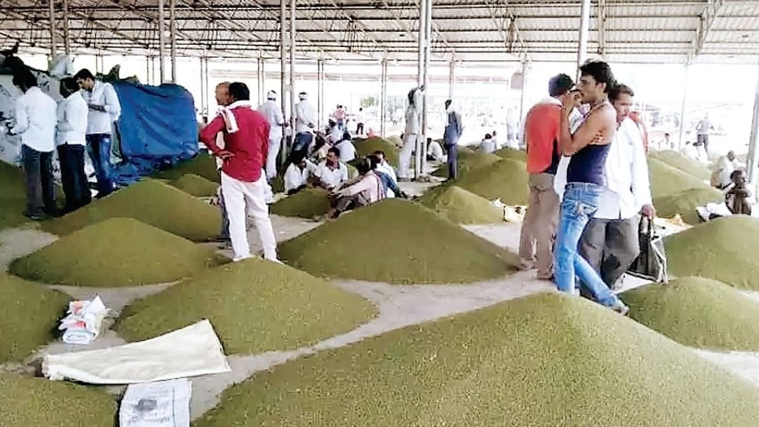 MSP पर मूंग, उड़द, सोयाबीन और मूंगफली की खरीद 24 नवंबर से शुरू, 3.12 लाख किसानों ने कराया रजिस्ट्रेशन