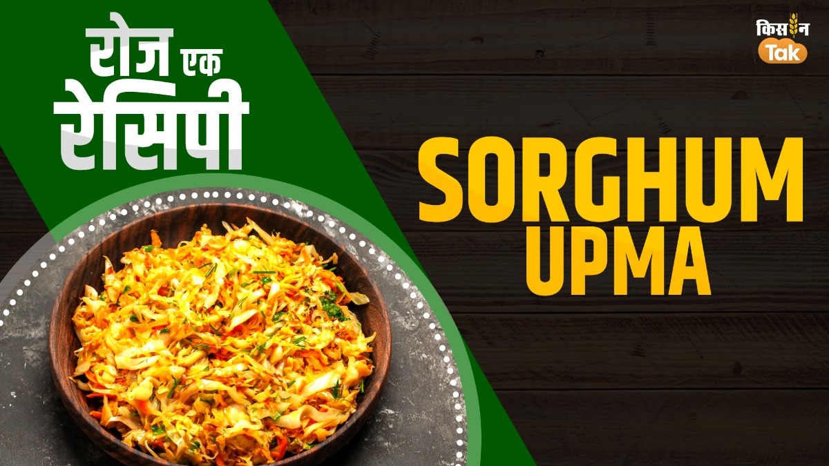 Sorghum Vermicelli Upma