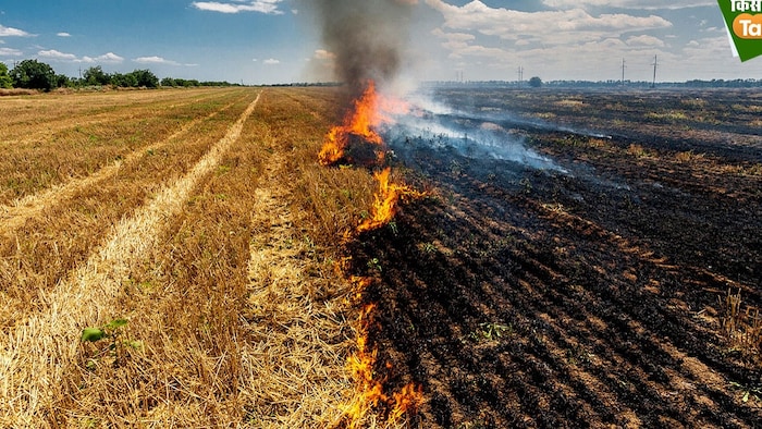 कृषि चौपाल में किसानों को फसल अवशेष प्रबंधन के बारे में जानकारी दी गई (Photo-Kisan Tak)