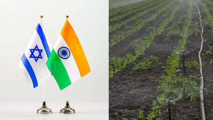 India Israel Agriculture