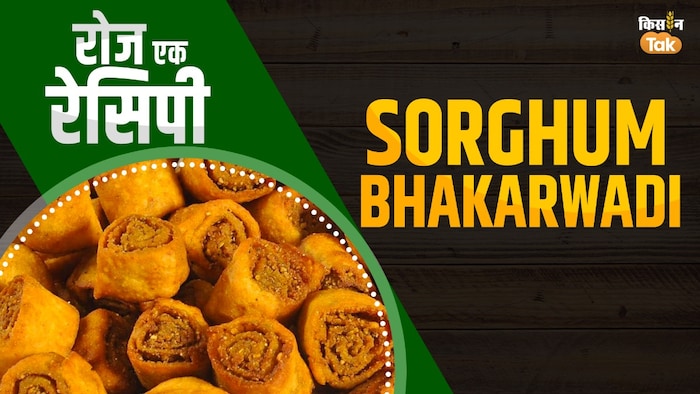 ज्वार की क्रिस्पी भाकरवड़ी