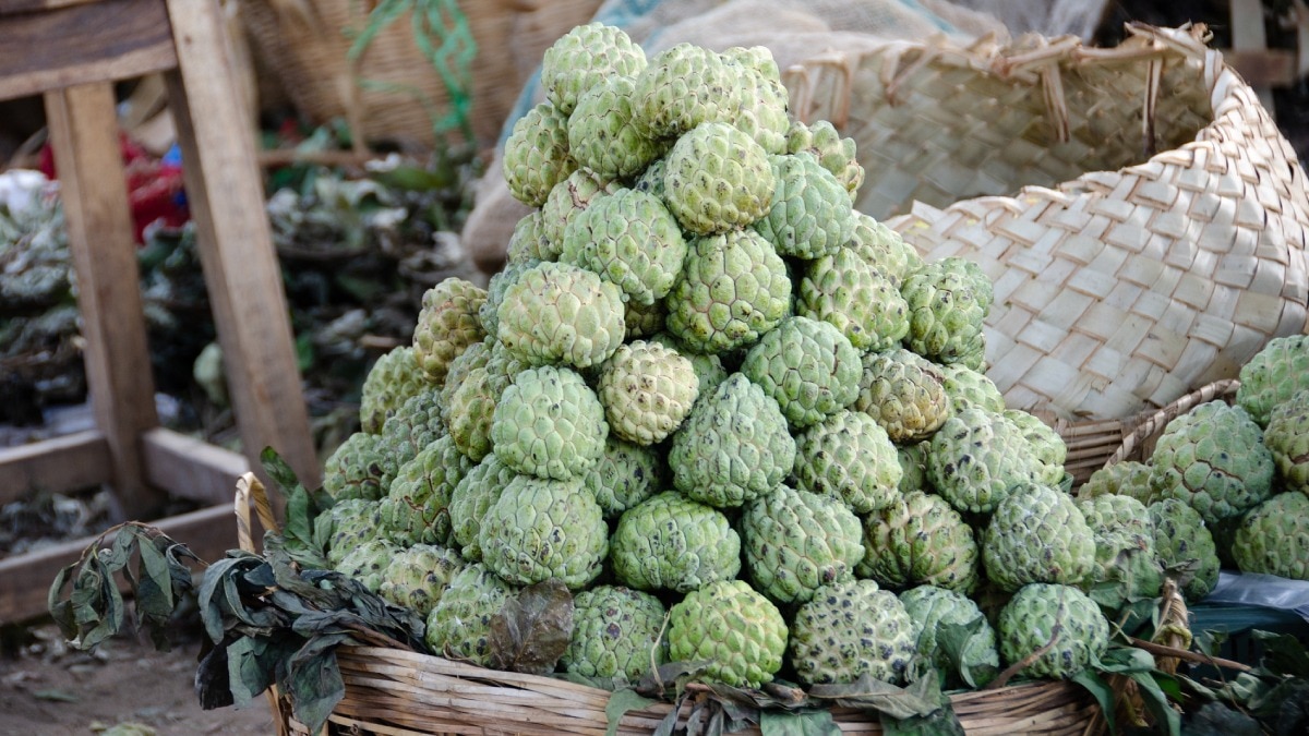 Custard apple 