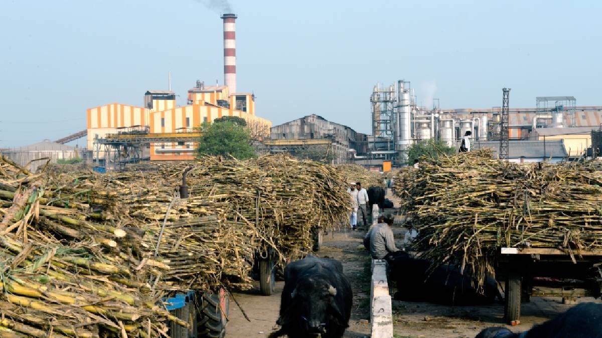 bihar sugar mill