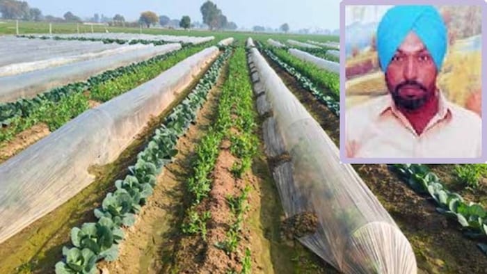 farmer success story