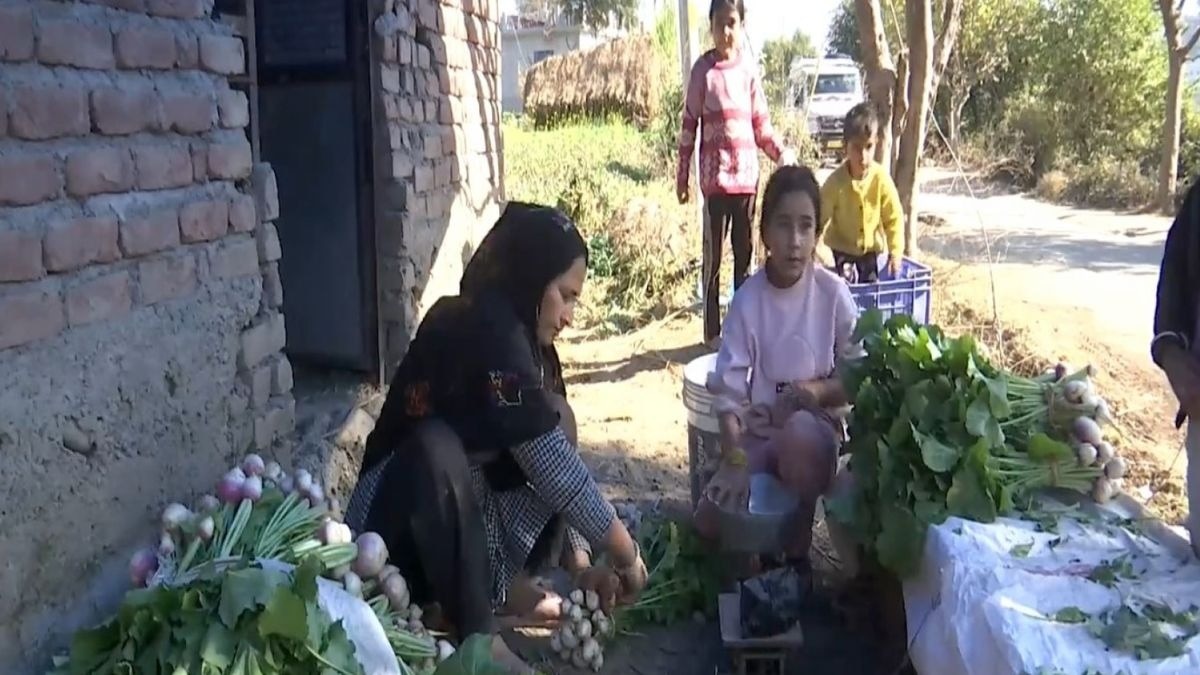 mehra village rajauri corgainc farming