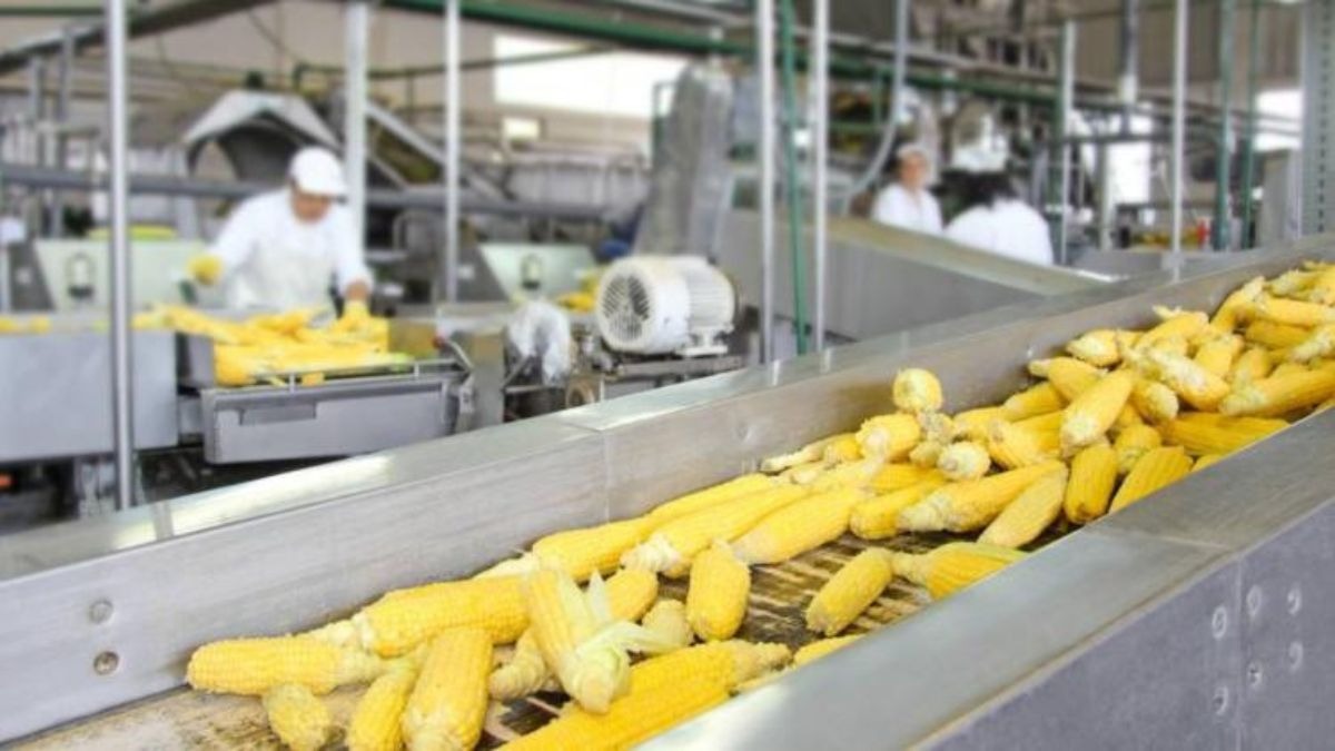 Food Processing Sector Bihar Boost Need