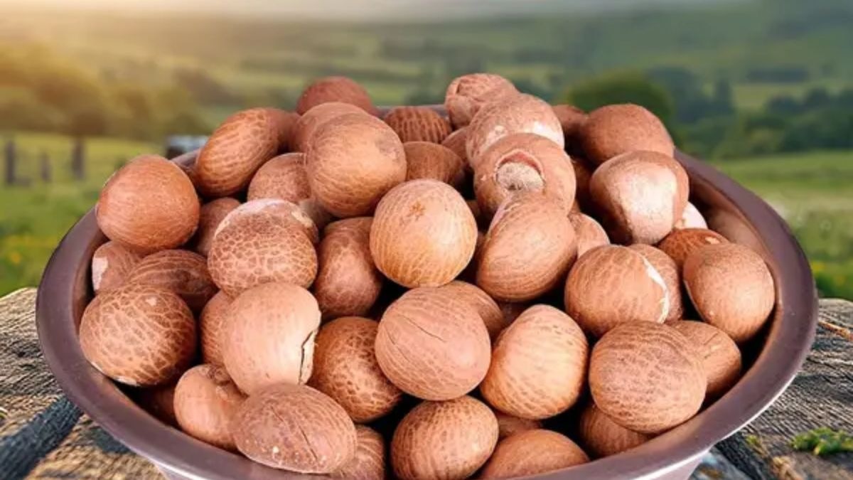 सुपारी के दामों में रिकॉर्ड उछाल