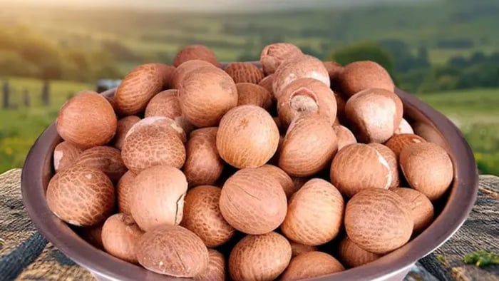 सुपारी के दामों में रिकॉर्ड उछाल