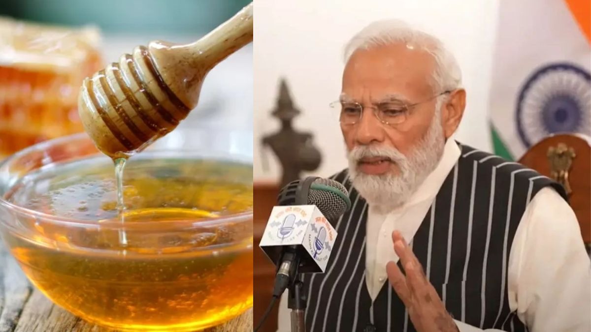 प्राकृतिक खेती से लेकर कश्मीर का शहद; मन की बात में PM Modi ने कृषि क्षेत्र की गिनाई ये बड़ी उपलब्धियां