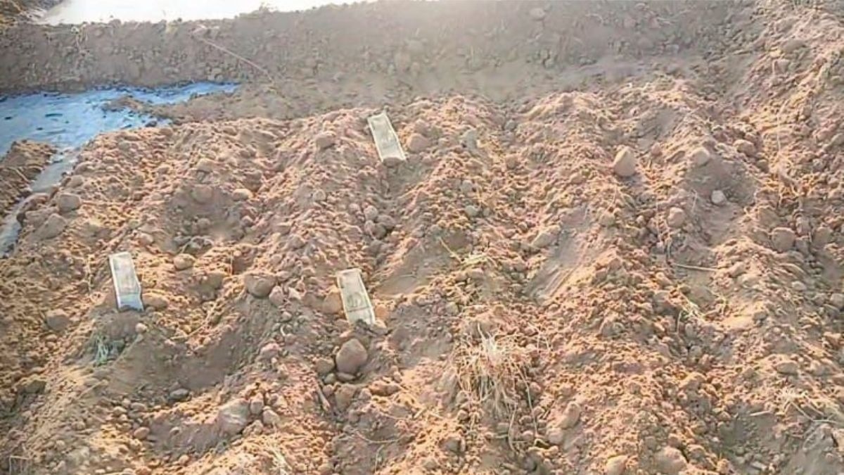 बीमा कंपनियों की नींद तोड़ने का अनोखा विरोध, राजस्थान के किसान ने खेत में बोए नोट