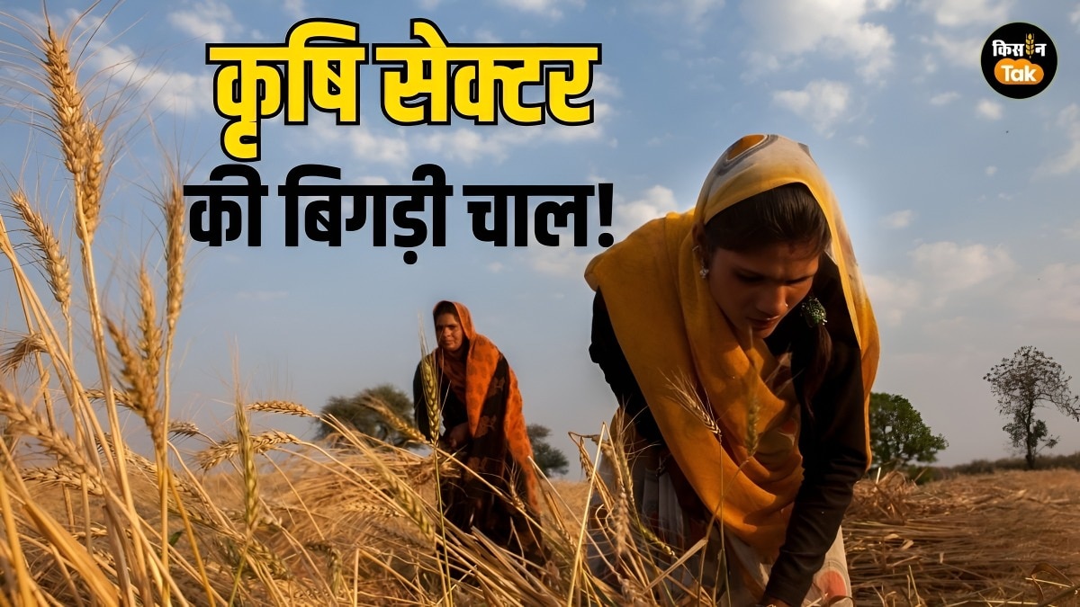 कृषि क्षेत्र की ग्रोथ धीमी (AI फोटो)