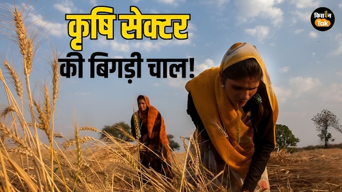 कृषि क्षेत्र की ग्रोथ धीमी (AI फोटो)