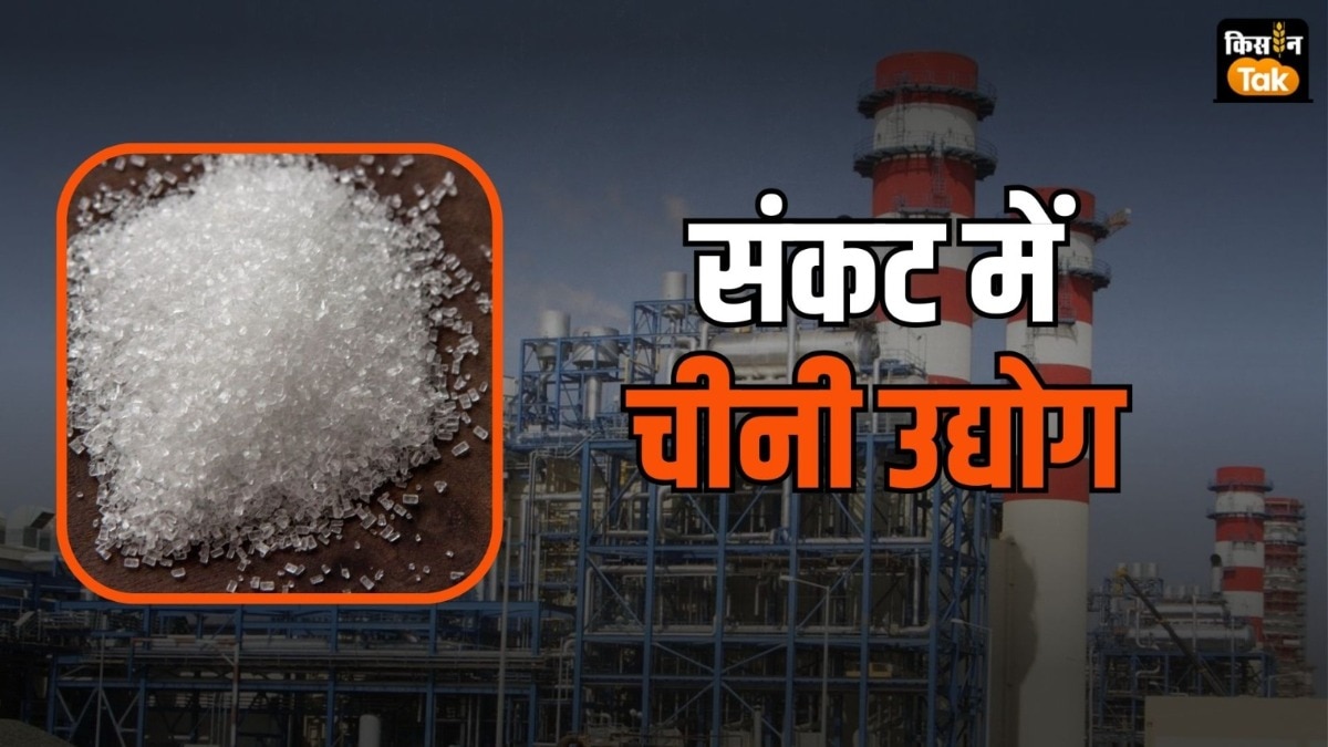 sugar industry in Bihar
