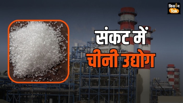sugar industry in Bihar